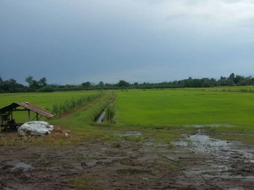 ที่ดิน 43 ไร่ ติดเขาปลาร้า ใกล้กับหุบป่าตาด จอุทัยธานี