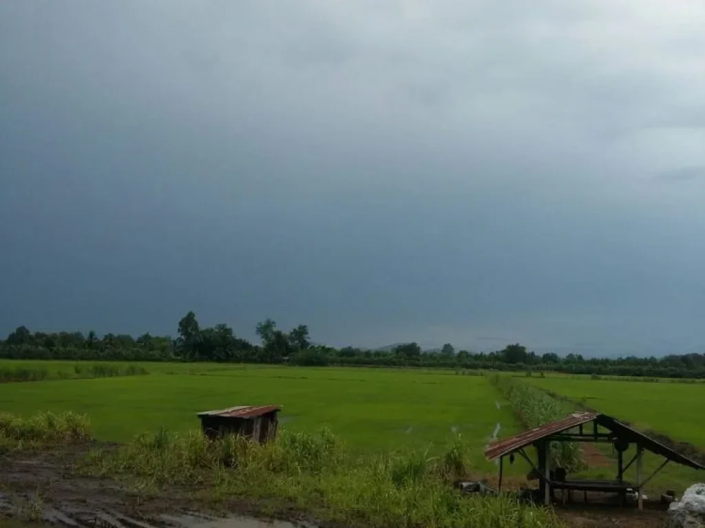 ที่ดิน 43 ไร่ ติดเขาปลาร้า ใกล้กับหุบป่าตาด จอุทัยธานี