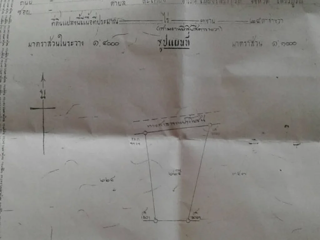 ขายที่ดิน 3 งาน 24ตรวพร้อมต้นสักทอง 250ต้น