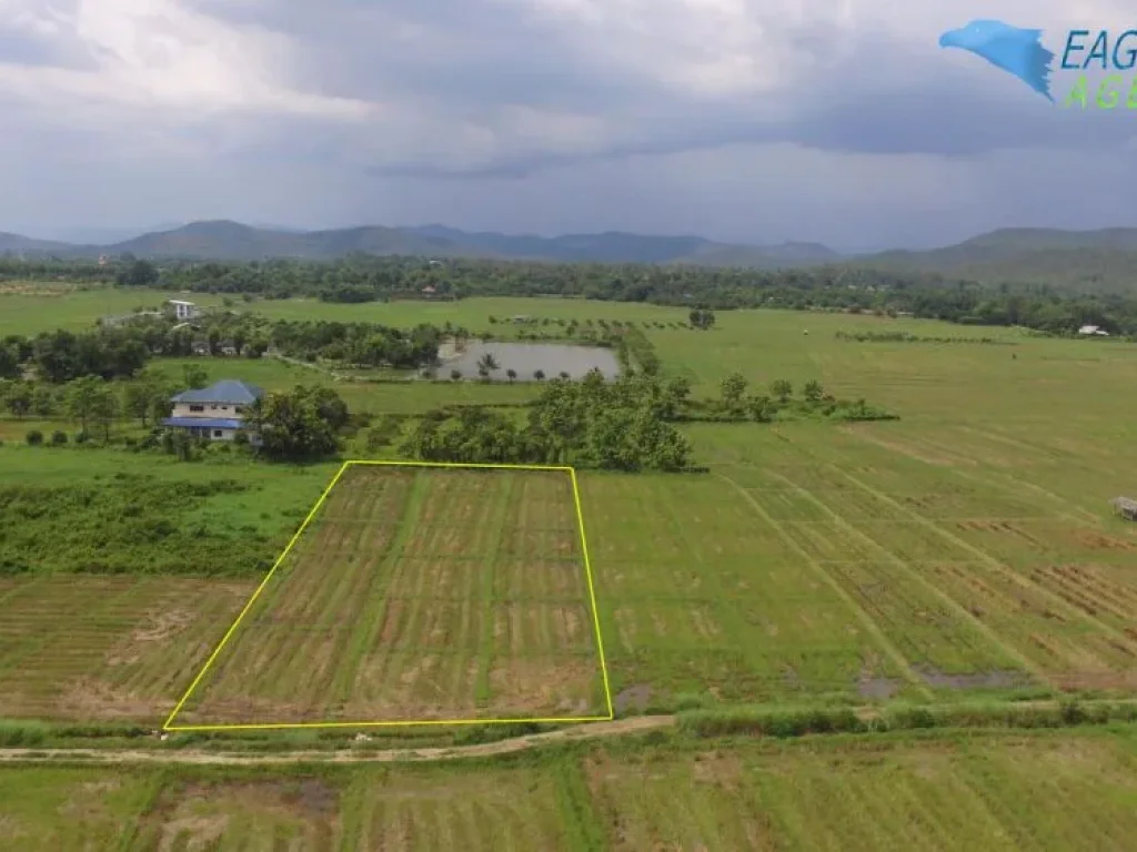 ขายที่นา 2-1-34 ไร่ วิวดอยสวย โปร่งโล่งบรรยากาศดีมาก เหมาะสำหรับทำสวนและบ้านพัก