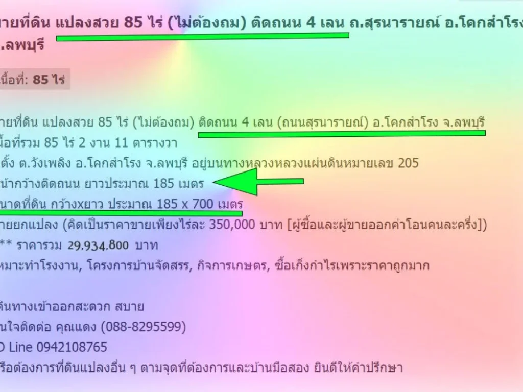 ขายที่ดิน แปลงสวย 85 ไร่ ไม่ต้องถม ติดถนน 4 เลน ถนนสุรนารายณ์ อโคกสำโรง จลพบุรี