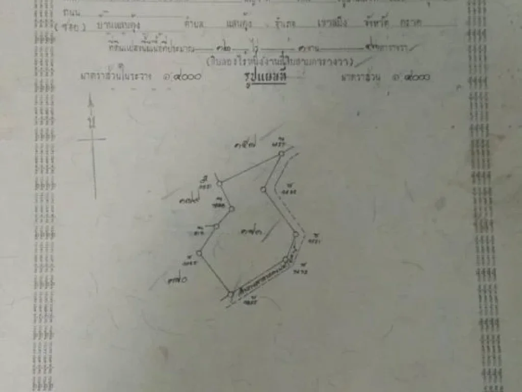 ที่ดินเปล่า โฉนด 2 แปลงรวม 50 ไร่ อยู่ซอยจุลภักดี ตประณีต อเขาสมิง จตราด