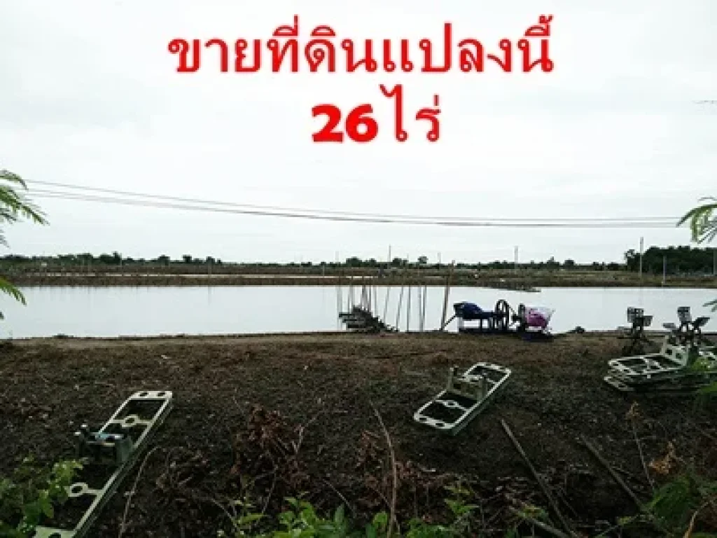 ขายที่ดิน กำแพงแสน 26 ไร่ เหมาะแก่การลงทุน