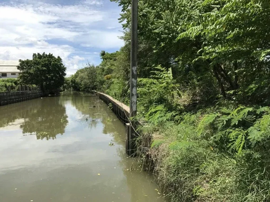 ขายที่ดิน 886ตรว พุทธมณฑลสาย2 ทวีวัฒนา กรุงเทพฯ