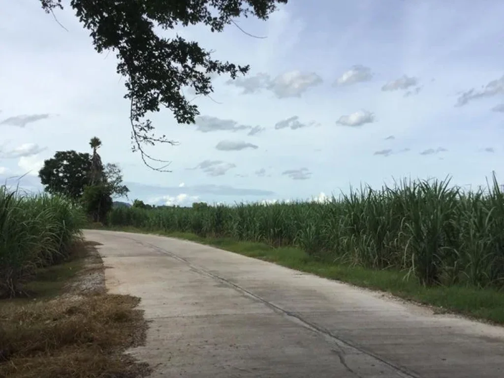 ขายที่ดิน ใกล้รร เมืองการุ้ง อำเภอบ้านไร่ จังหวัดอุทัยธานี