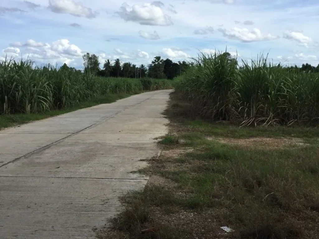 ขายที่ดิน ใกล้รร เมืองการุ้ง อำเภอบ้านไร่ จังหวัดอุทัยธานี