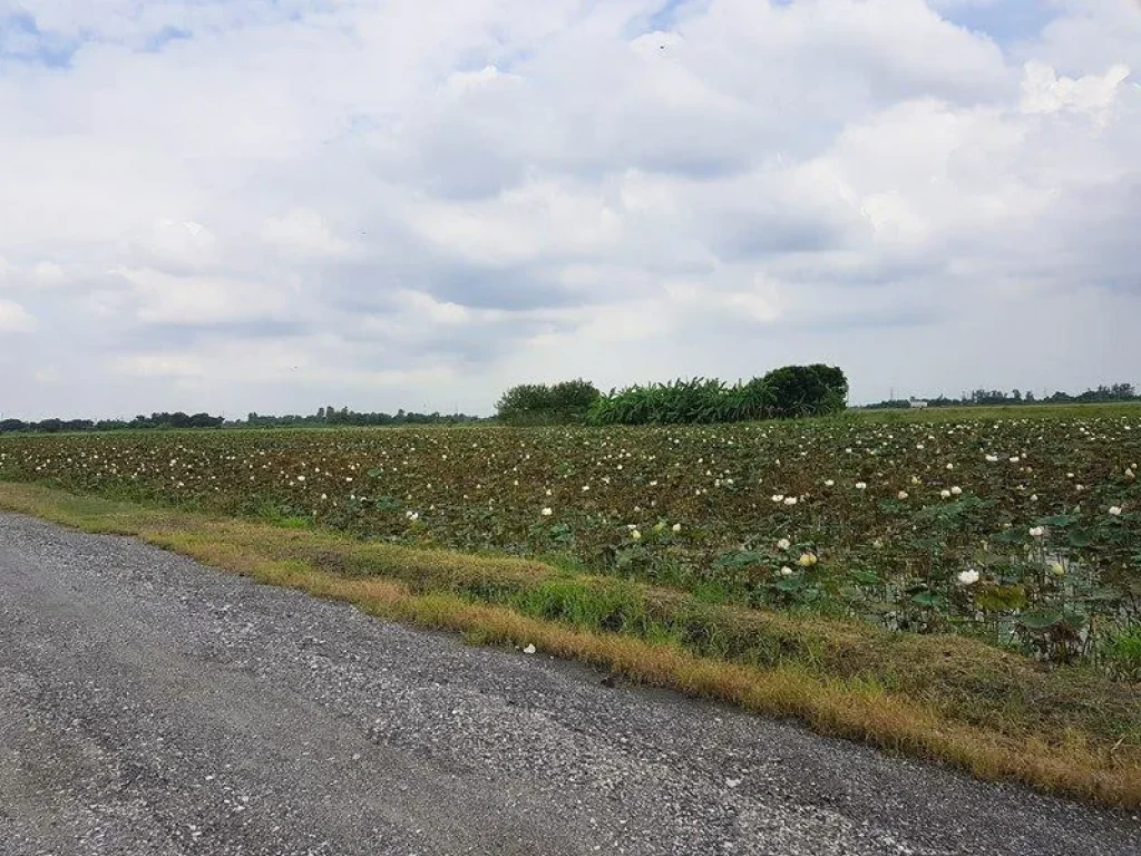 ขายที่ดิน หนองจอก 100 ไร่ แปลงใหญ่ถูกสุดย่านนี้