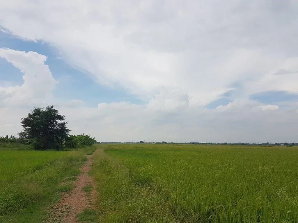 ขายที่ดิน หนองจอก 100 ไร่ แปลงใหญ่ถูกสุดย่านนี้