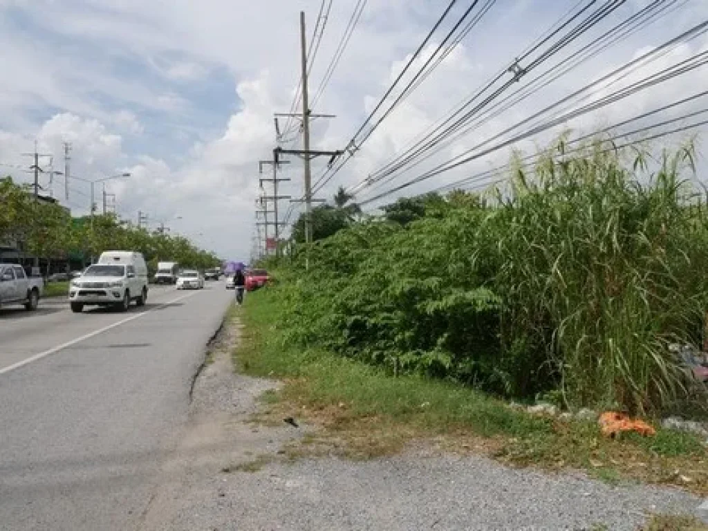 ขายที่ดินถมแล้ว 2 ไร่ ติดถนนใหญ่ เส้น ปทุมธานี-กรุงเทพ 307