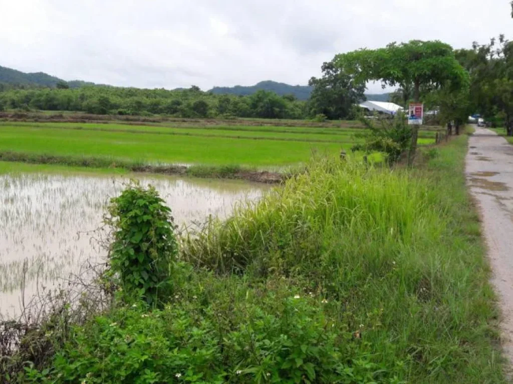 land for sale 6 Rai Tumbol Rim Tai Mae Rim Chiang Mai ขายที่ดิน 6 ไร่ ตริมใต้ อแม่ริม จเชียงใหม่