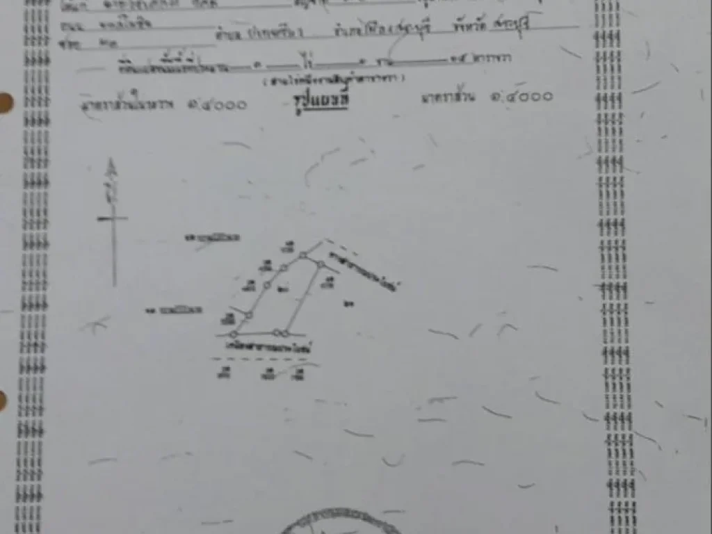 ขายที่ดิน ตแสลงพัน อวังม่วง จสระบุรี 3 ไร่ 1 งาน 15 ตรว