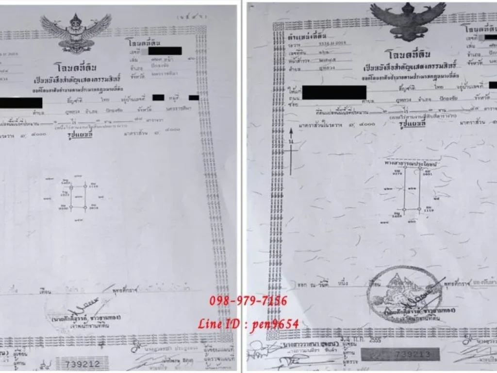 ขายที่ดินโฉนด 5 ไร่ 3 งาน 22 ตารางวา ปักธงชัย ใกล้เทพพิทักษ์ฟาร์ม 3