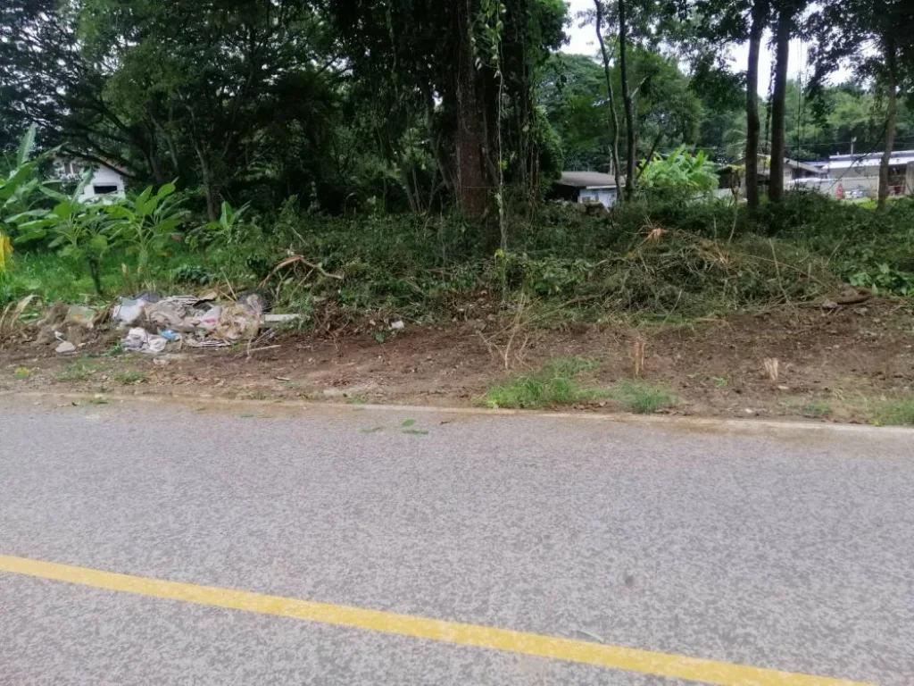 ขายที่ดินบ้านมอญ เรือนแพ ติดถนนคอนกรีต ค้าขายได้