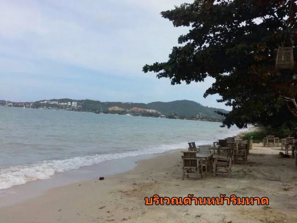 ขายที่ดินริมหาดเกาะสมุย 12 ไร่ 3 งาน 40 ตรวา ใกล้สนามบิน 2 กม