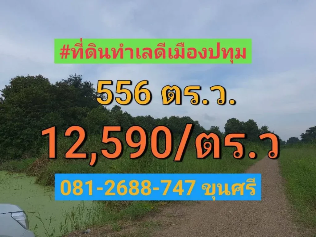 ขายที่ดินบางเดื่อ 556 ตารางวา ถนนปทุมธานีสายนอก อำเภอ เมืองปทุมธานี จังหวัด ปทุมธานี