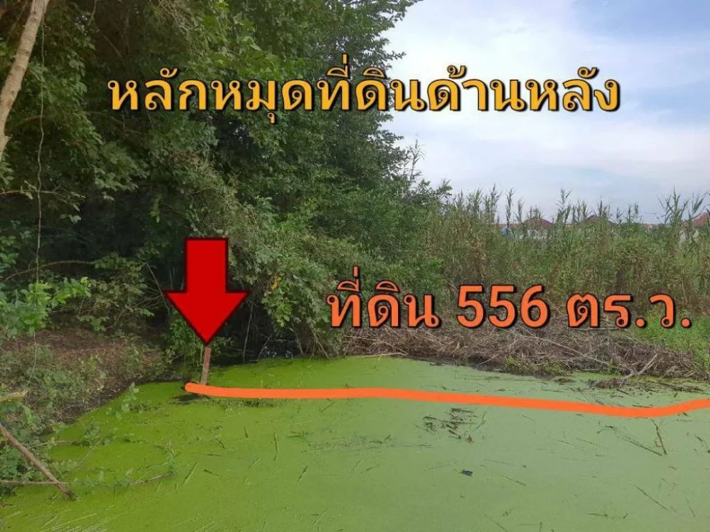 ขายที่ดินบางเดื่อ 556 ตารางวา ถนนปทุมธานีสายนอก อำเภอ เมืองปทุมธานี จังหวัด ปทุมธานี