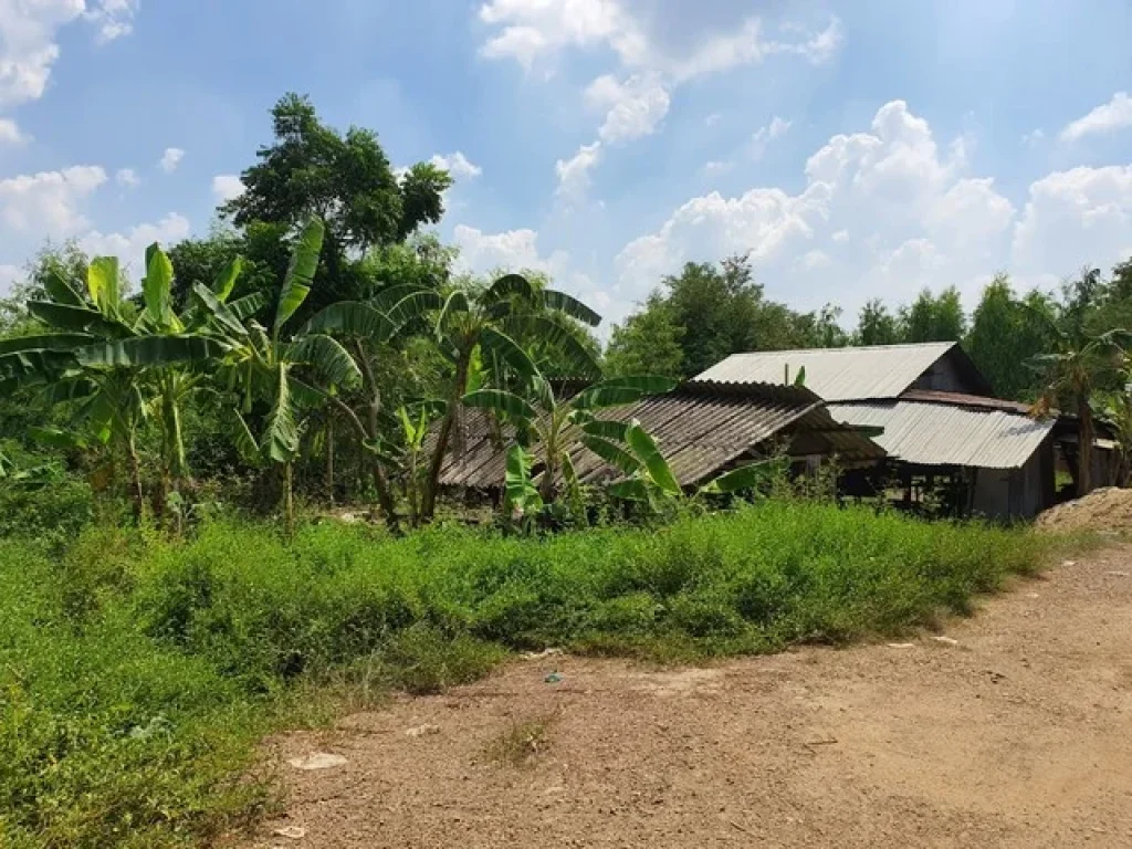 ขายที่ดิน คลองควาย ปทุมธานี 808 ตรว ที่ดินแปลงสวย ด้านหลังติดลำธาร ใกล้วัดป่าภูริทัตตปฏิปทาราม