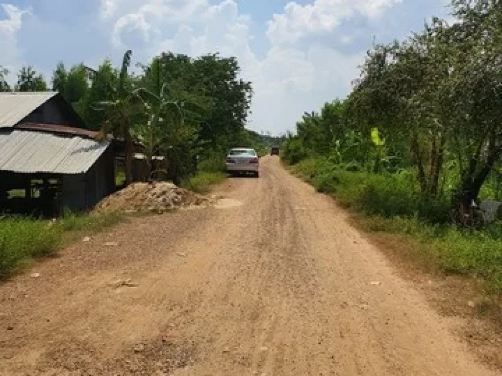 ขายที่ดิน คลองควาย ปทุมธานี 808 ตรว ที่ดินแปลงสวย ด้านหลังติดลำธาร ใกล้วัดป่าภูริทัตตปฏิปทาราม