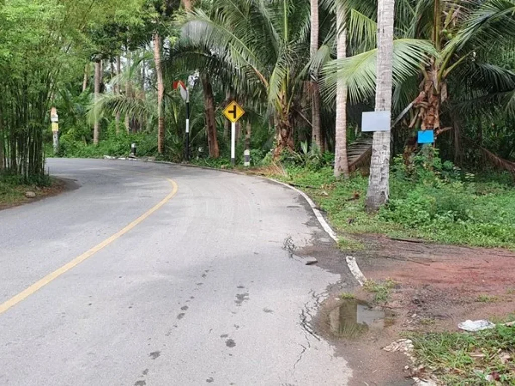 ขายที่ดินติดน้ำ อัมพวา 163 ตรว ด้านหน้าติดถนนดำ ด้านหลังติดคลองวัดจุฬา ถมแล้ว อเมืองจสมุทรสงคราม