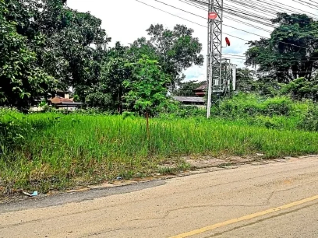 ขายที่ดิน หลังวัดสันกำแพงหลวง ตำบลสันกำแพง อำเภอสันกำแพง จังหวัดเชียงใหม่