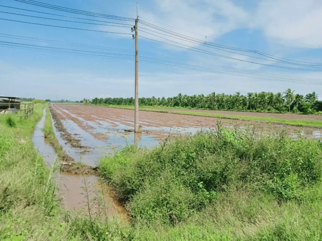 ขายที่ดิน 21 ไร่ ราคาไร่ละ 12 ล้าน ติดถนนลาดยาง 3481 ใกล้แยกไผ่ดำ 3 กม อบางน้ำเปรี้ยว จฉะเชิงเทรา