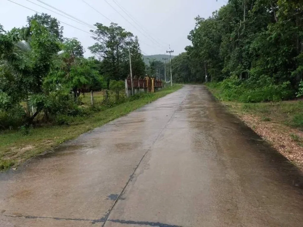 ขายที่ดิน บ้านดงเย็น ตำบลห้วยไร่ อำเภอคอนสวรรค์ จังหวัดชัยภูมิ ฟรีค่าโอน