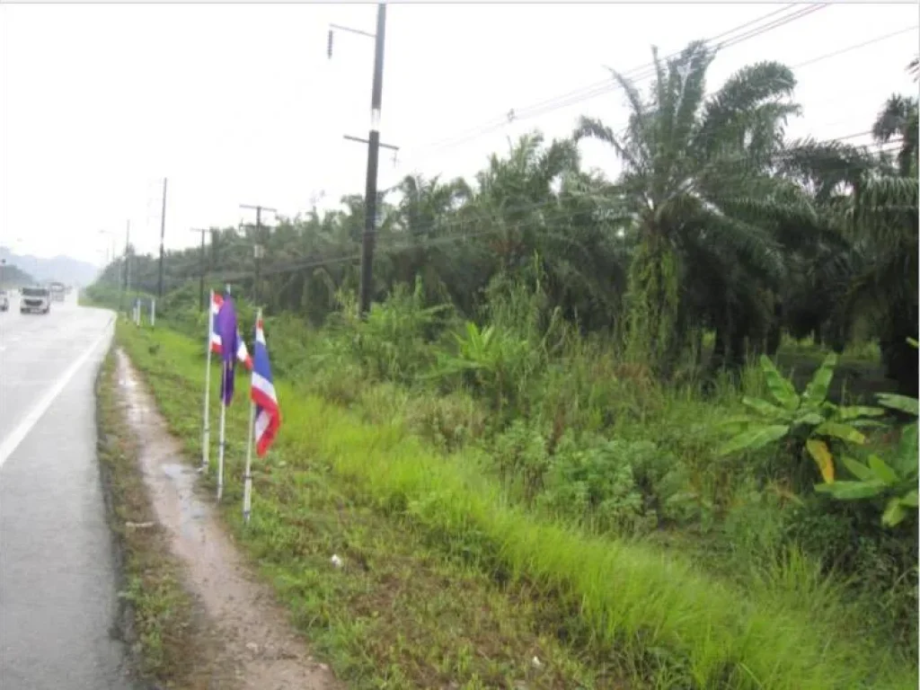 ขายที่ดิน ทำเลทอง ติดถนนเพชรเกษม ในจังหวัดกระบี่