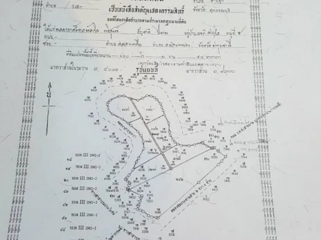 ขายที่ดิน จสุพรรณบุรี อสามชุก ตวังลึก 73ไร่