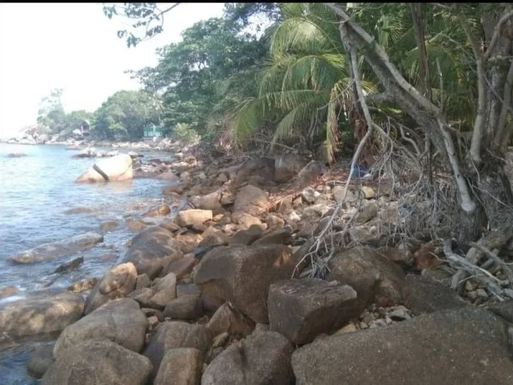 เกาะพะงันหาดขอม 20ไร่ หน้ากว้างติดชายหาดทะเล 200เมตร