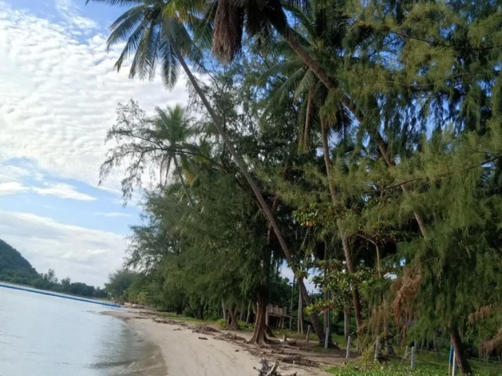 ที่ดินติดทะเลชายหาดเกาะสมุย 3 ไร่