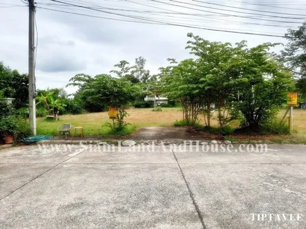 ขายที่ดินเชียงใหม่ ที่ดินลานนาธานี ใกล้โรงเรียนจีนช่องฟ้า สารภี เชียงใหม่ Land for SALE Lanna Thani Village Saraphi Chiangmai THAILAND