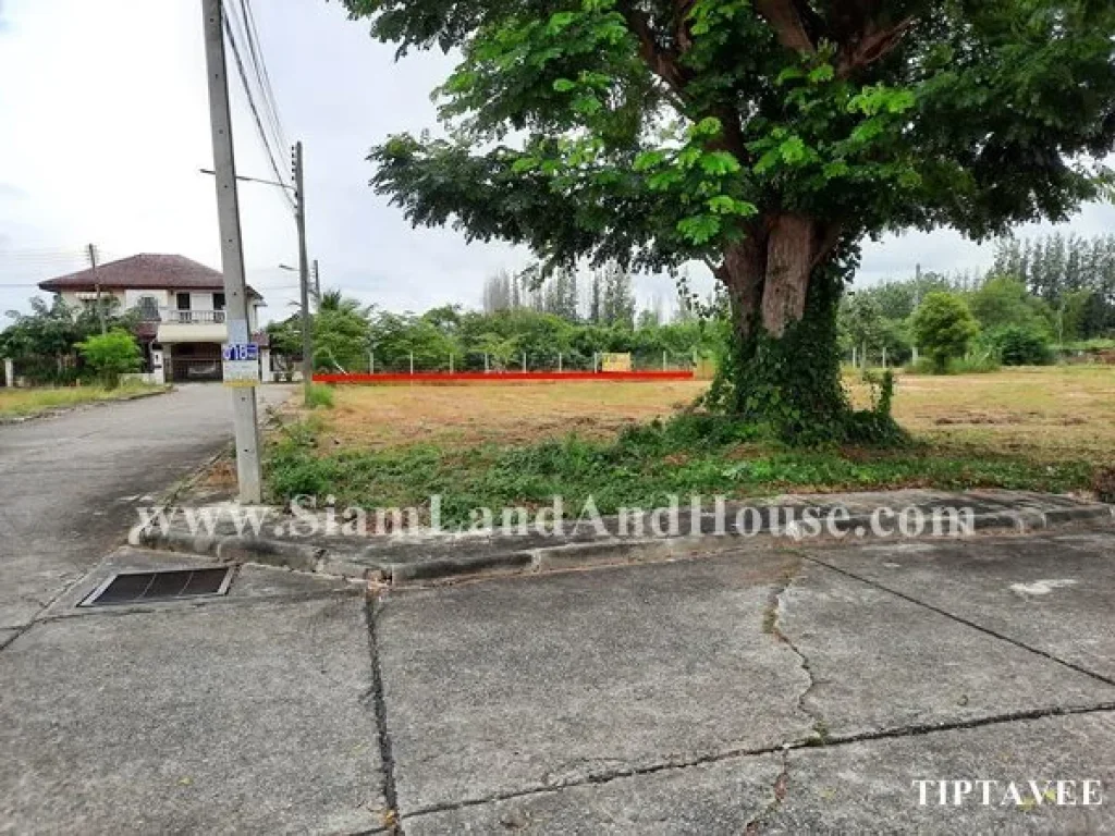 ขายที่ดินเชียงใหม่ ที่ดินลานนาธานี ใกล้โรงเรียนจีนช่องฟ้า สารภี เชียงใหม่ Land for SALE Lanna Thani Village Saraphi Chiangmai THAILAND