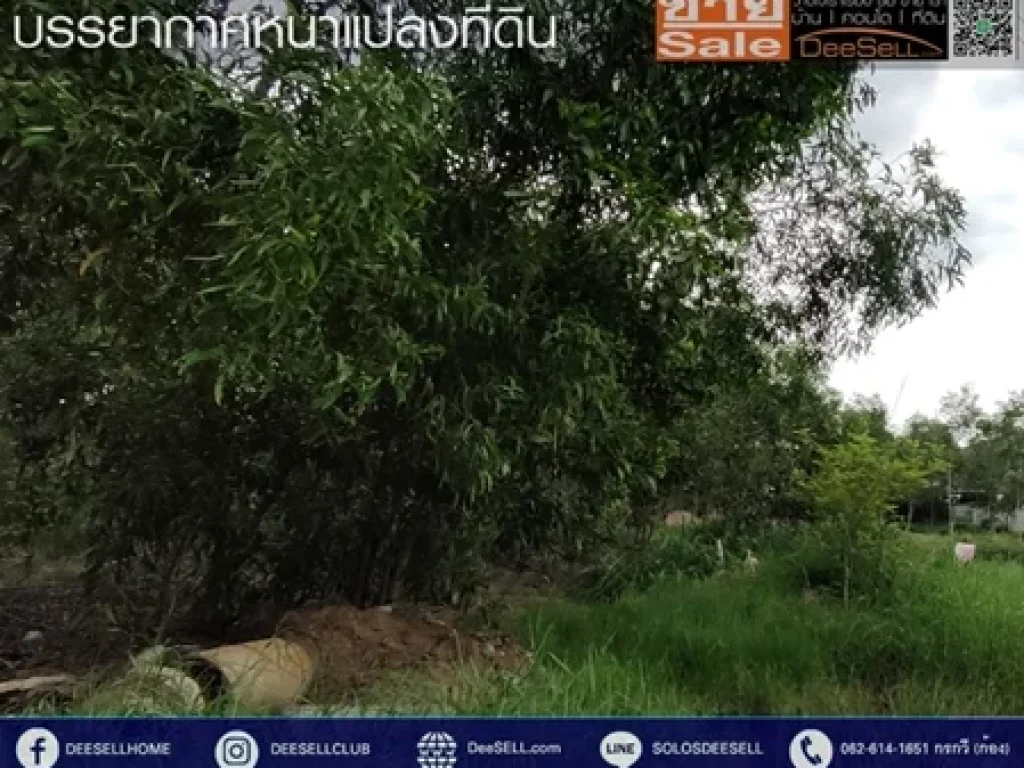 ขายที่ดินถมแล้ว สร้างบ้านได้ เมืองเอก หลักหก 134ตรว ใกล้รรสาธิตมหาวิทยาลัยรังสิต เขตผังเมืองสีชมพู