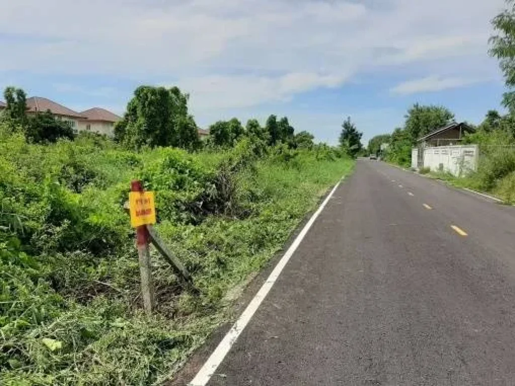 ขายที่ดินแถวไทรน้อย ใกล้ถนนใหญ่ ซอยเทพประทาน1 อำเภอไทรน้อย จังหวัดนนทบุรี