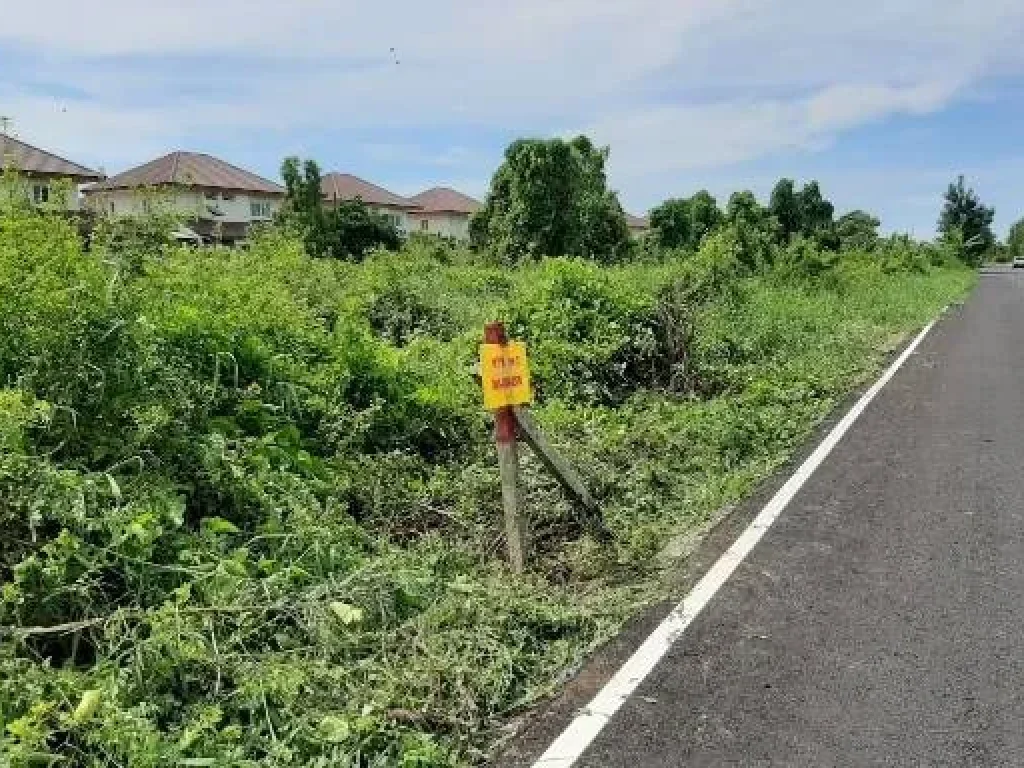 ขายที่ดินแถวไทรน้อย ใกล้ถนนใหญ่ ซอยเทพประทาน1 อำเภอไทรน้อย จังหวัดนนทบุรี