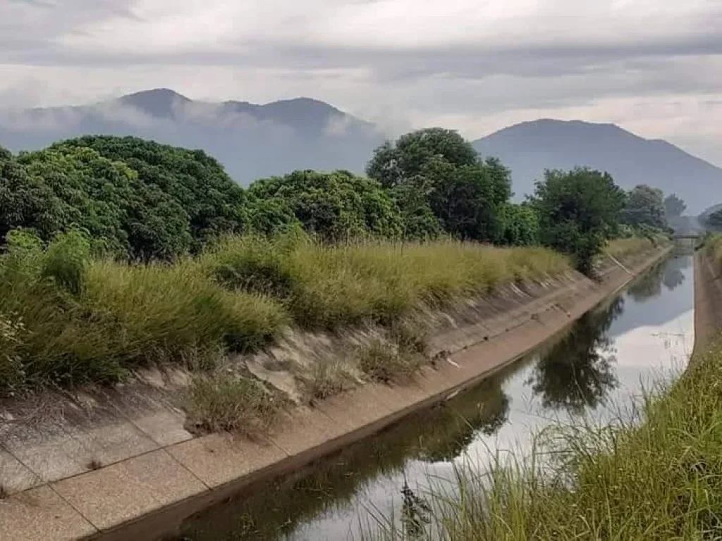 ขายที่ดินร้องวัวแดง ติดถนนสาธารณะ ค้าขายได้ดี