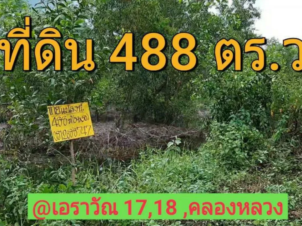 ขายที่ดินราคาถูก 488 ตารางวา ซอย เอราวัณ 1718 อำเภอ คลองหลวง จังหวัด ปทุมธานี