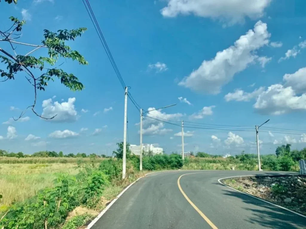 ขายที่ดินจังหวัดฉะเชิงเทรา อำเภอเมือง ตำบลโสธร