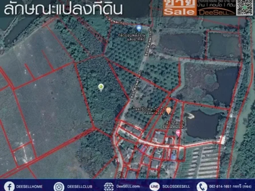 ขายที่ดินหน้ากว้าง ติดทางสาธารณะ บ้านดอนมะกอก ระยอง 2773ตรว ใกล้รพแกลง เป็นสวนจาก เหมาะลงทุน