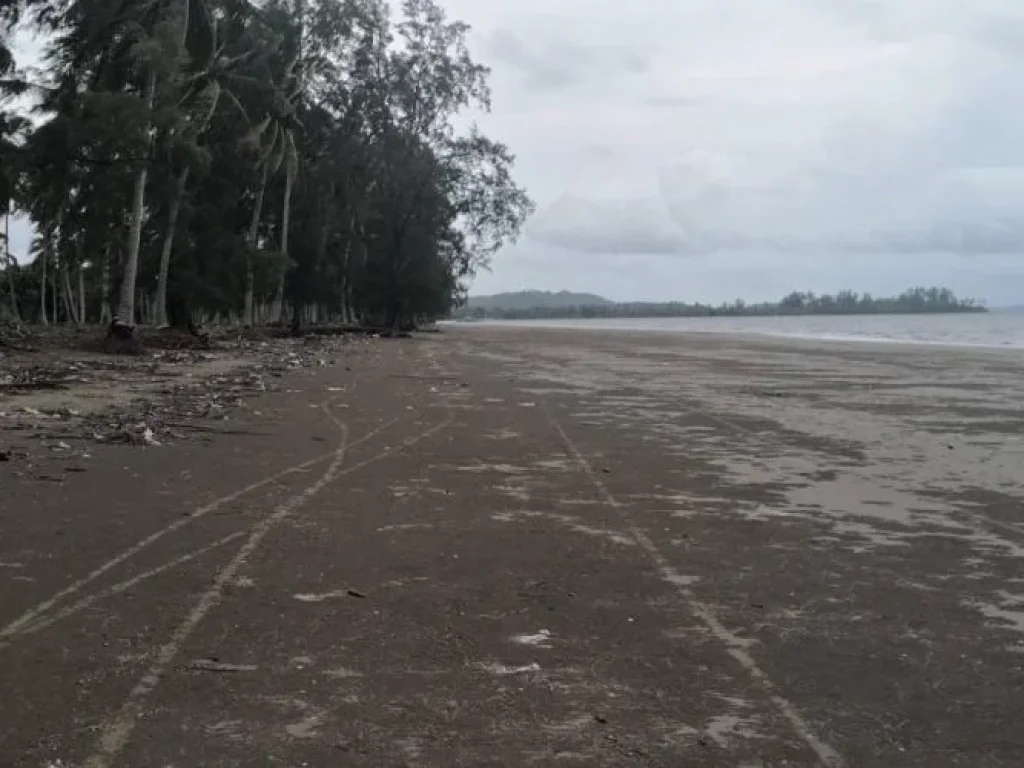 ขายที่ดินติดชายหาด 28 ไร่ ติดหน้าหาดยาว 230 เมตร เห็นวิวเกาะพีพี หาดยาว เหนือคลอง กระบี่