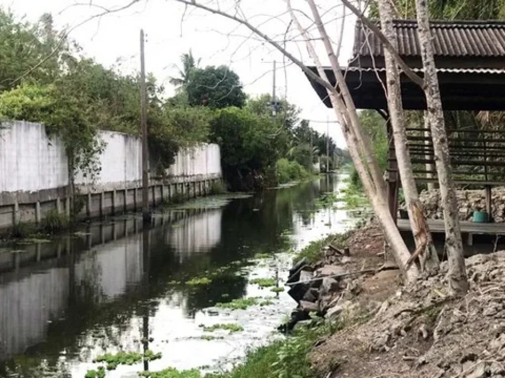 ขายที่ดินพร้อมบ้านสวนอัมพวา จังหวัดสมุทรสงคราม ติดคลอง มีศาลาริมน้ำ บรรยากาศสวนเงียบสงบ