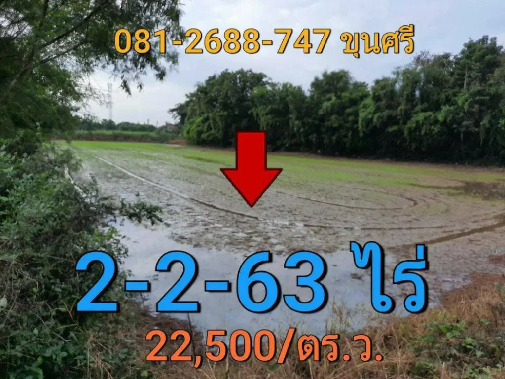 ขายที่ดินคลองข่อย 2-2-63 ไร่ อำเภอ ปากเกร็ด จังหวัด นนทบุรี