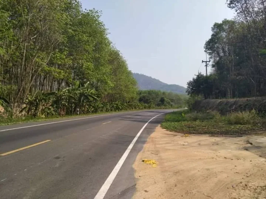 ที่สวนยางสวย ติดถนนลาดยางขายที่ดินบ้านค่ายระยอง ติดถนนสาย3139 บ้านแลง - หาดใหญ่ อบ้านค่าย จระยอง