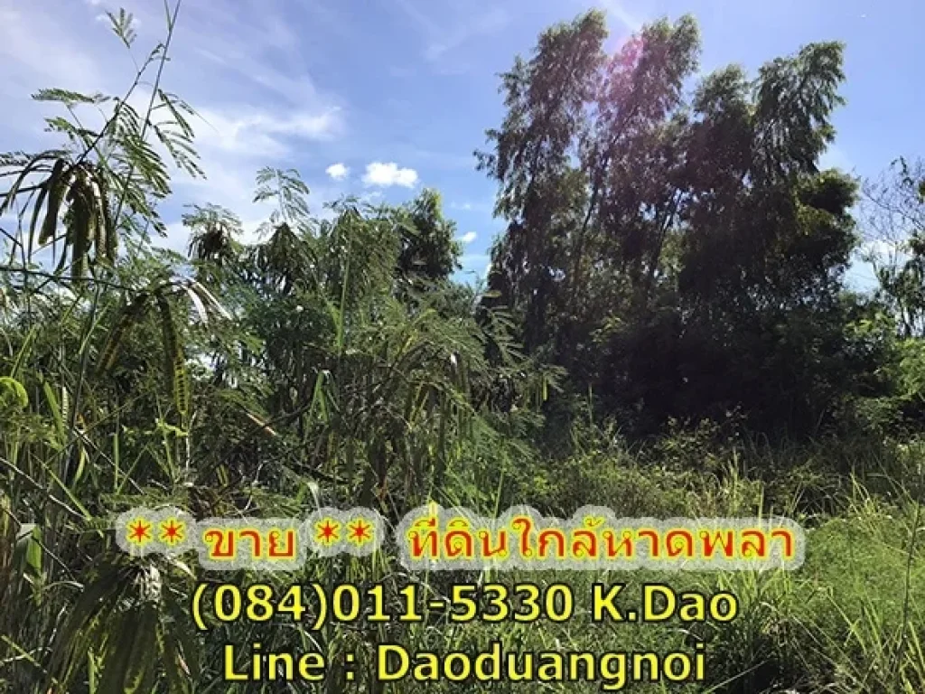 ขายที่ดินด่วน ที่ดิน เนื้อที่ 2 ไร่กว่า ขายยกแปลง ที่ดินอยู่บนถนนพลา