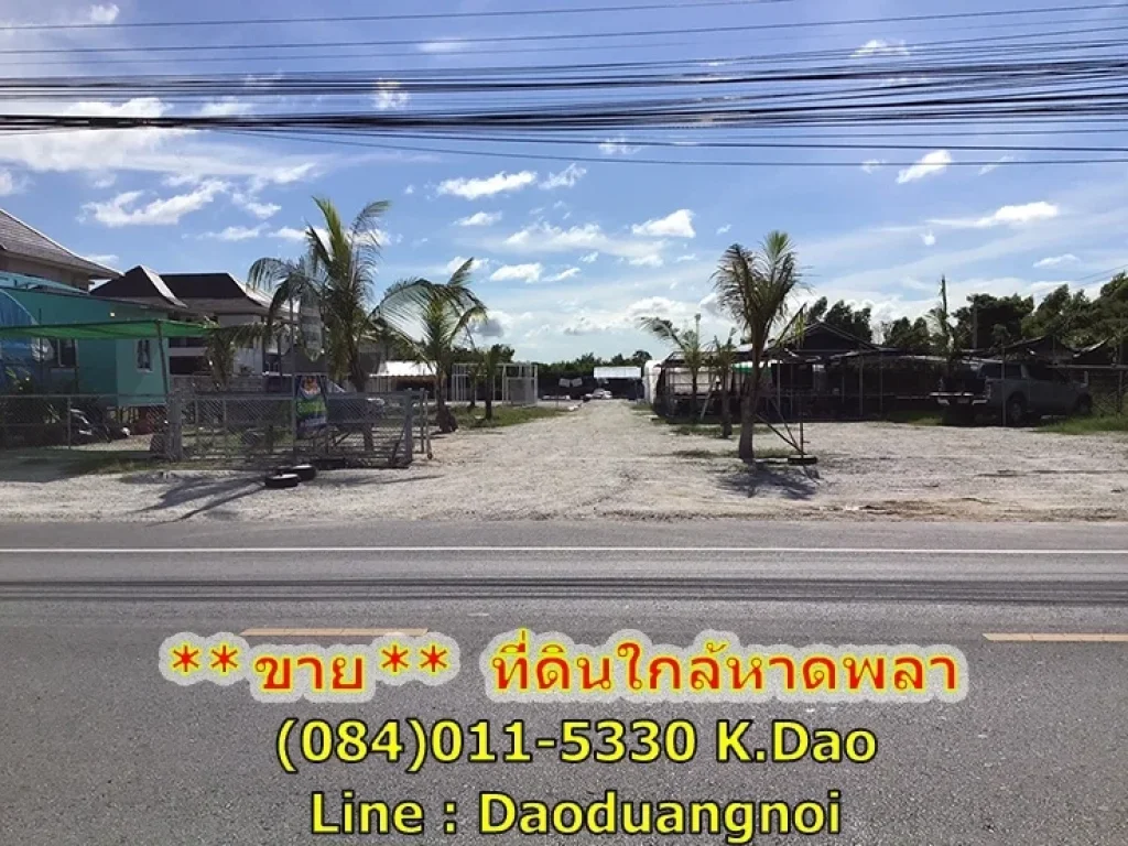 ขายที่ดินด่วน ที่ดิน เนื้อที่ 2 ไร่กว่า ขายยกแปลง ที่ดินอยู่บนถนนพลา