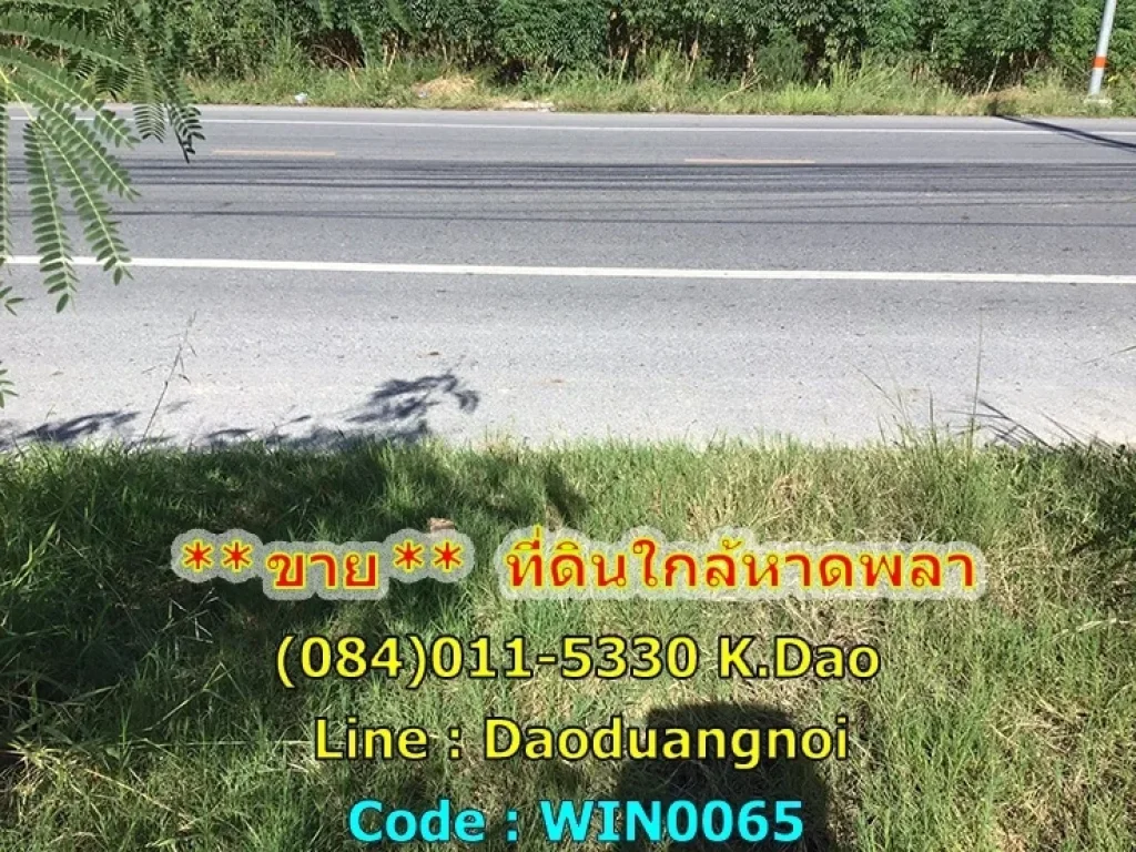 ขายที่ดินด่วน ที่ดิน เนื้อที่ 2 ไร่กว่า ขายยกแปลง ที่ดินอยู่บนถนนพลา