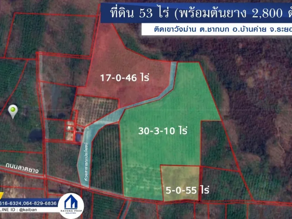 ขายที่ดินพร้อมสวนยาง 53 ไร่ 11 ตรว ตชากบก อบ้านค่าย จระยอง