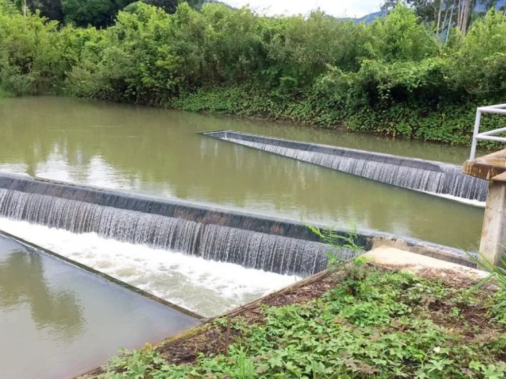 ขายที่ดินโฉนดแปลงเล็กติดเขา 100 ตรว น้ำไฟถึงน่าที่เลยมีเพื่อยบ้านตรงข้าม ใก้ล รร จปรรรเตรียมทหาร น้ำตกกะอาง เขาเพิ่ม บ้านนา นครนายก