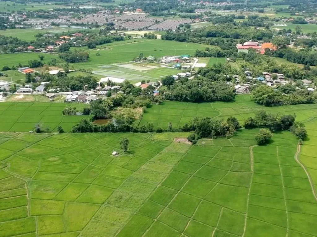 ขายที่ดิน ท่ารั้ว ป่าเสร้า ตำบลสันปูเลย อำเภอดอยสะเก็ด จังหวัดเชียงใหม่