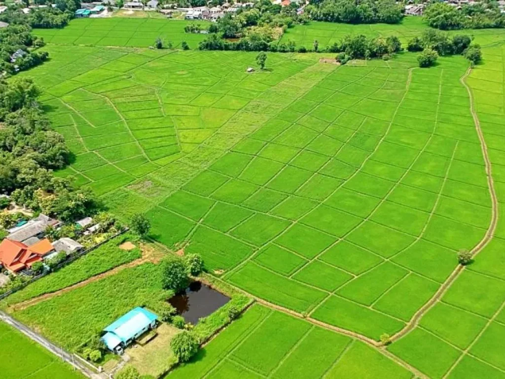 ขายที่ดิน ท่ารั้ว ป่าเสร้า ตำบลสันปูเลย อำเภอดอยสะเก็ด จังหวัดเชียงใหม่